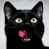 dex_cat's avatar